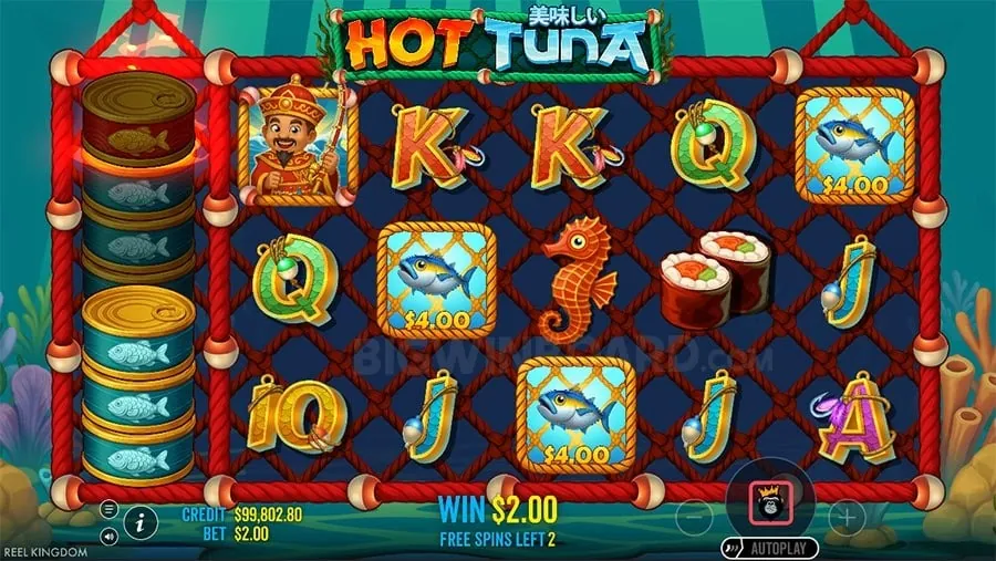 Live Blackjack Table with Dealer